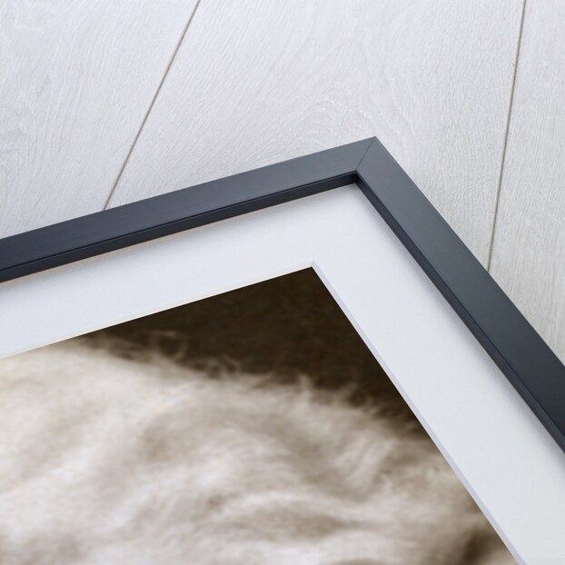 Jean Harlow, American film actress by Anonymous