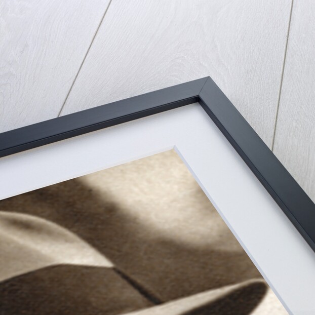 William C McGann, American film director by Anonymous