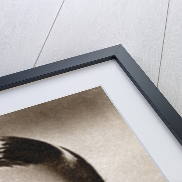 Ernst Lubitsch, German-born Jewish film director by Anonymous