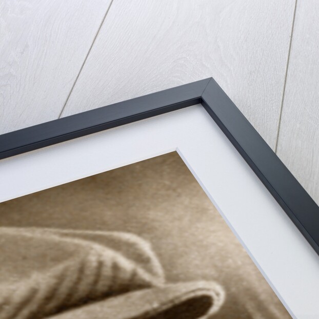 Robert Z Leonard, American film director by Anonymous