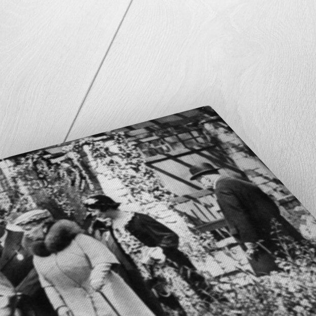 King George V and Queen Mary at the Chelsea Flower Show, London by Anonymous