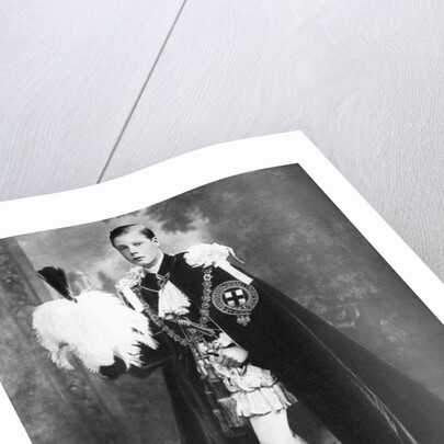 Edward, Prince of Wales as a Knight of the Garter by Anonymous