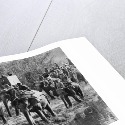 The Prince of Wales tiger shooting in India by Anonymous