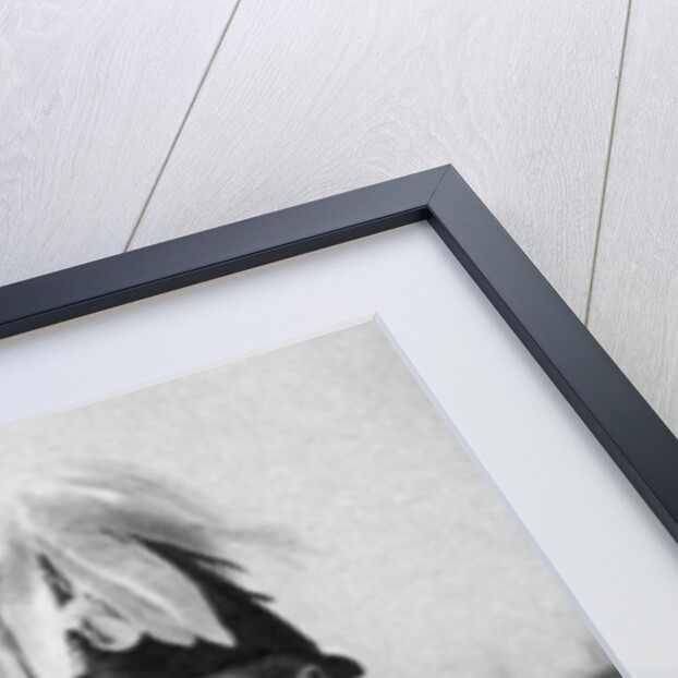 King George V and Queen Mary on their way to St Paul's Cathedral, Silver Jubilee by Anonymous