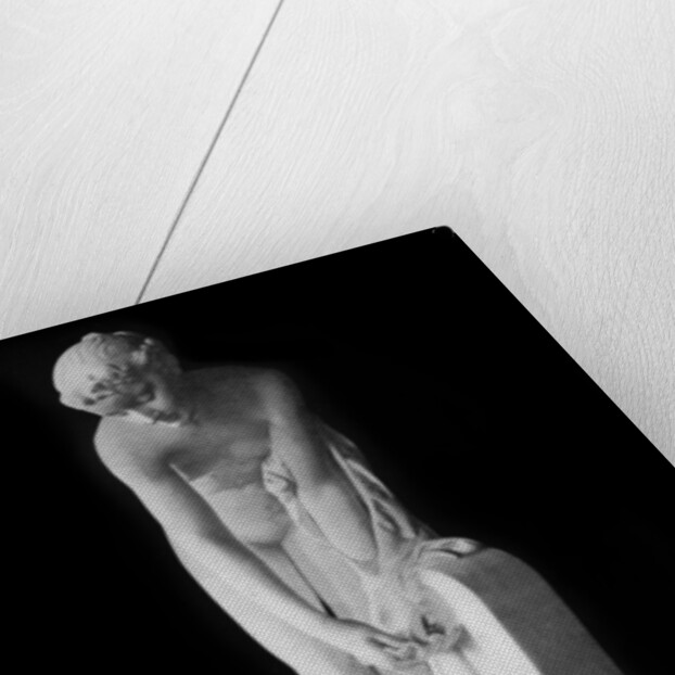 Girl at the Fountain by Alexandre Schoenewerk