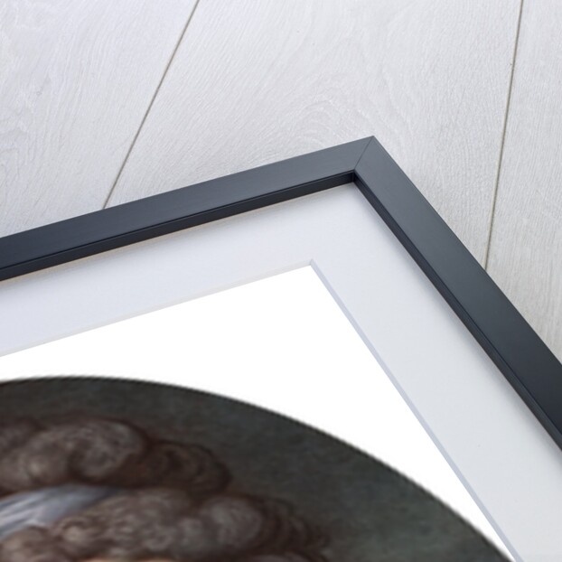 Portrait of a Young Lady by L Busiere