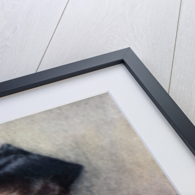 Eileen, Daughter of Henry Marshall by N H Edmunds