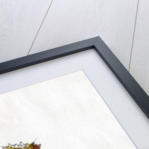 Duke of Suffolk, costume design for Shakespeare's play, Henry VIII by Anonymous