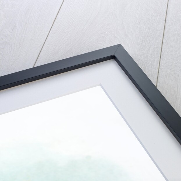 1st Life Guards by Anonymous