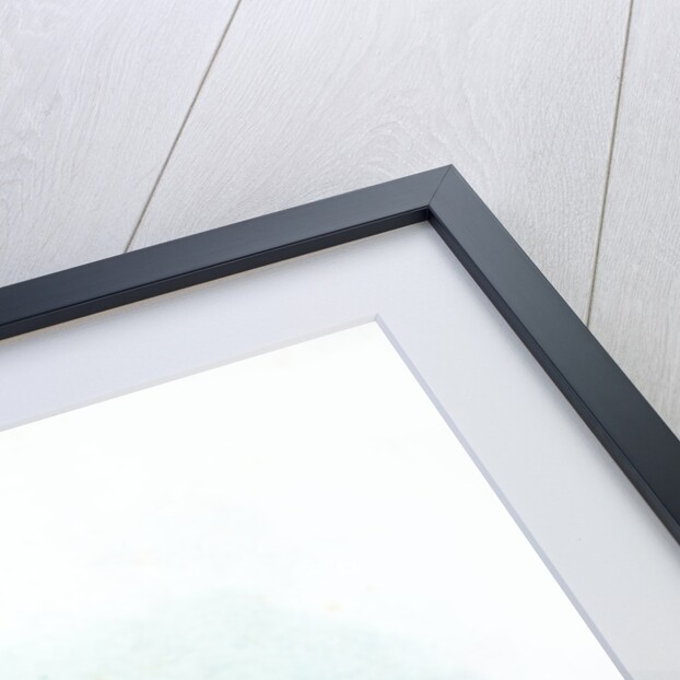 2nd Life Guards by Anonymous