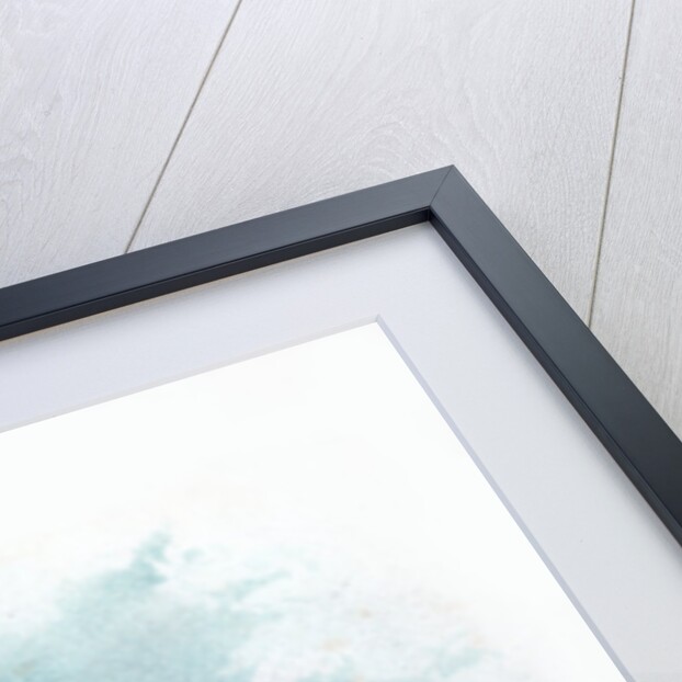 Royal Horse Guard by Anonymous