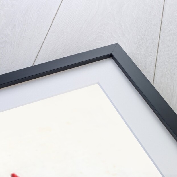 4th Hussars by Anonymous