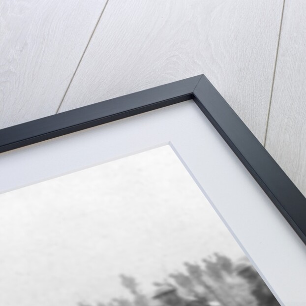 Canadian troops in no man's land, Vimy, France, First World War by Anonymous