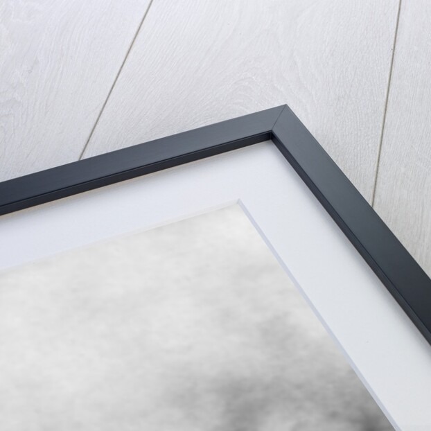 Russian offensive, Dzike Lani, Ternopil, Ukraine, First World War by Anonymous