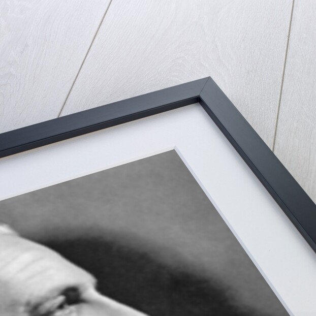 Frank Morgan, American film actor by Anonymous