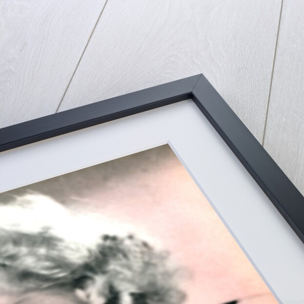 Alice Faye, American actress and singer by Anonymous