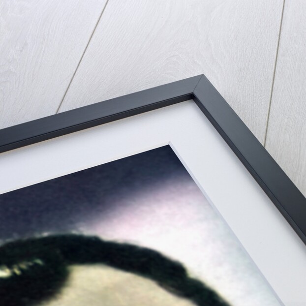 Conrad Veidt, German film actor by Anonymous