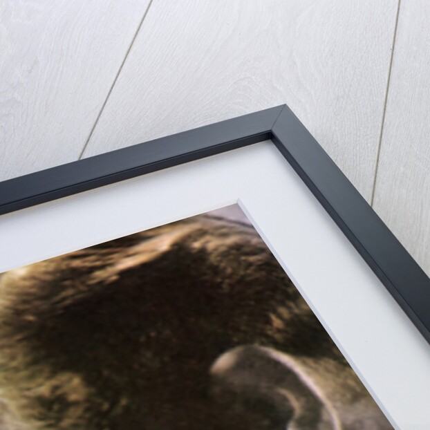 Leslie Howard, Englsh actor by Anonymous