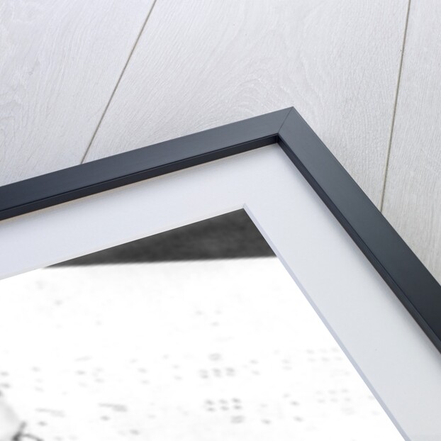 Richard Tauber, Austrian-born British tenor by Anonymous