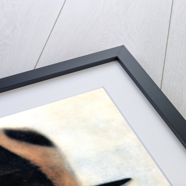 Edmund Lowe, American actor by Anonymous