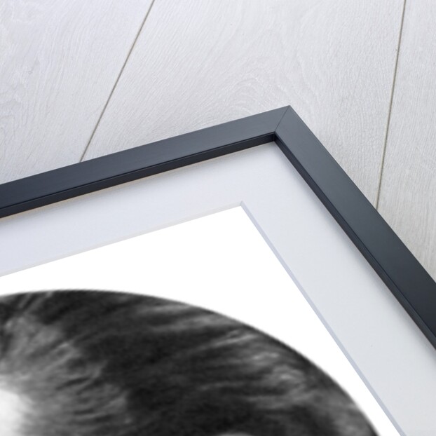 Nils Asther, Danish-born Swedish stage and film actor by Anonymous