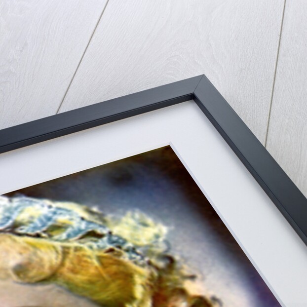 Evelyn Laye, English theatre actress by Anonymous