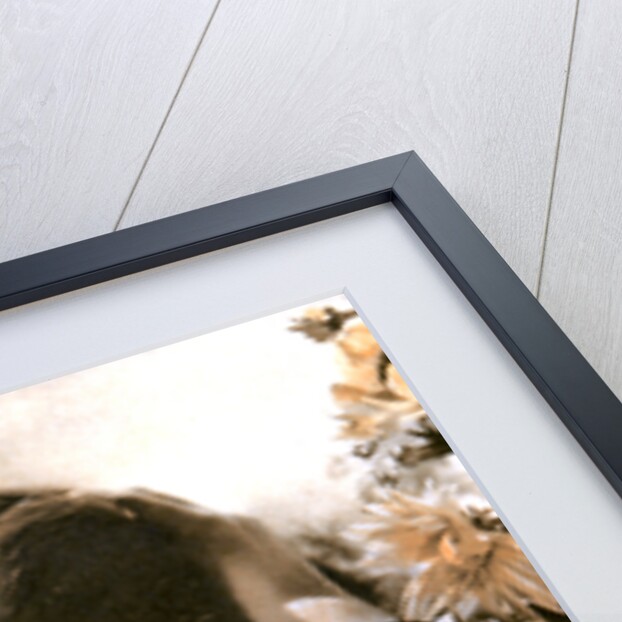 Joan Crawford, American actress by Anonymous