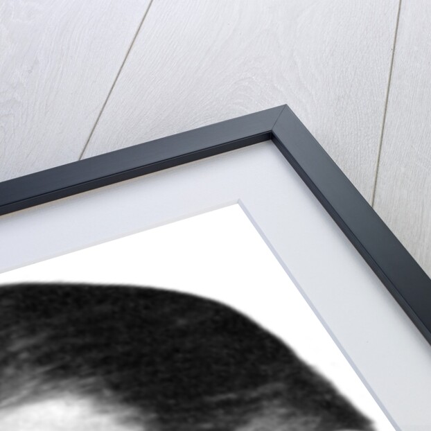 Ronald Colman, English actor by Anonymous