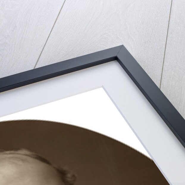 Right Hon Sir Richard Baggallay, Judge of the Supreme Court of Appeal by Lock & Whitfield