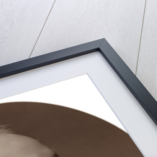 Right Hon Spencer Walpole, MP, British Conservative politician by Lock & Whitfield