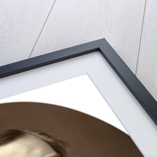 James Anthony Froude, British historian by Lock & Whitfield