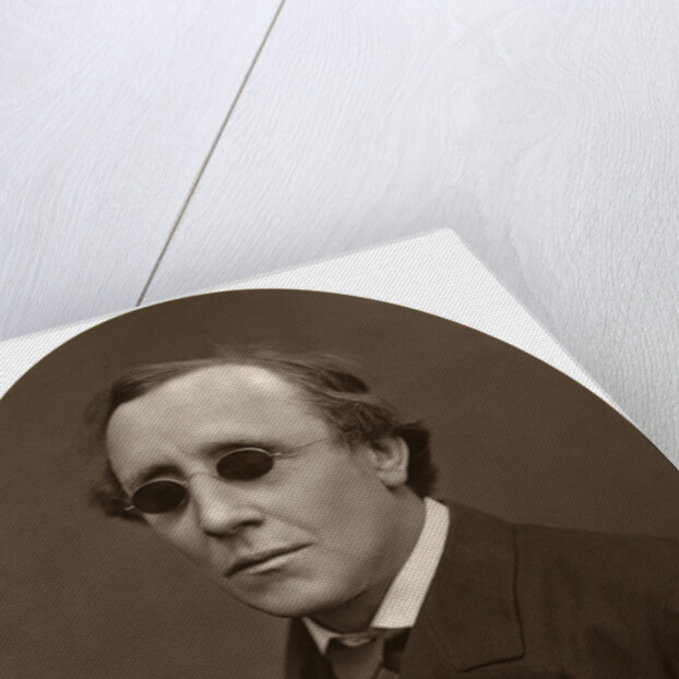 Henry Fawcett, MP, Professor of Political Economy at Cambridge University by Lock & Whitfield