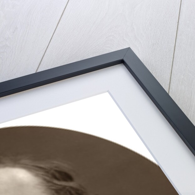 Henry Fawcett, MP, Professor of Political Economy at Cambridge University by Lock & Whitfield