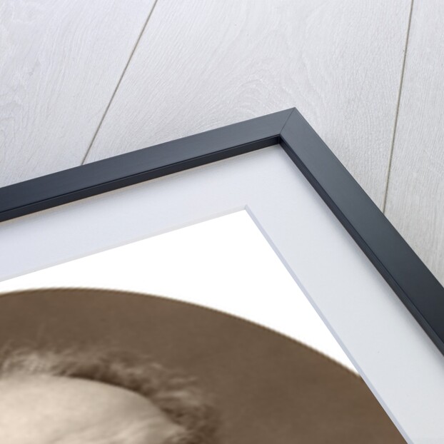 Right Rev Charles J Ellicott, DD, Bishop of Gloucester and Bristol by Lock & Whitfield