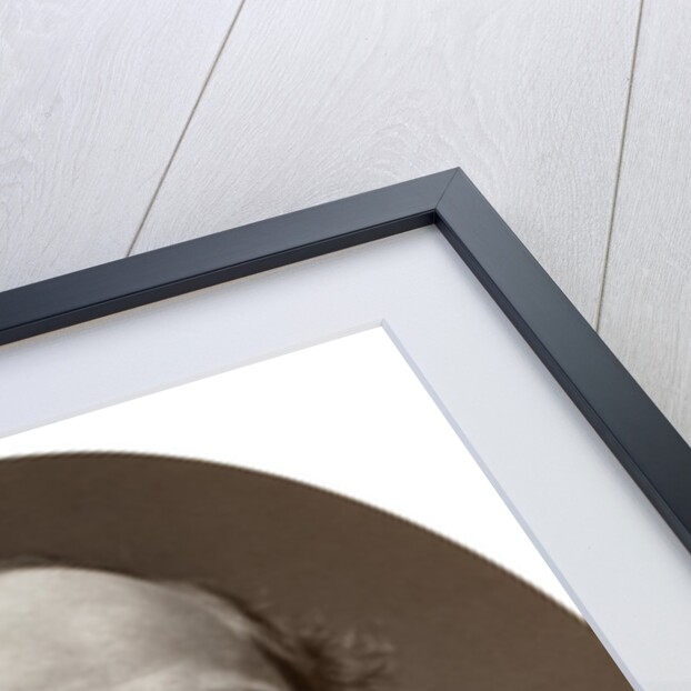 Christopher Newman Hall, LLB, English Nonconformist divine by Lock & Whitfield