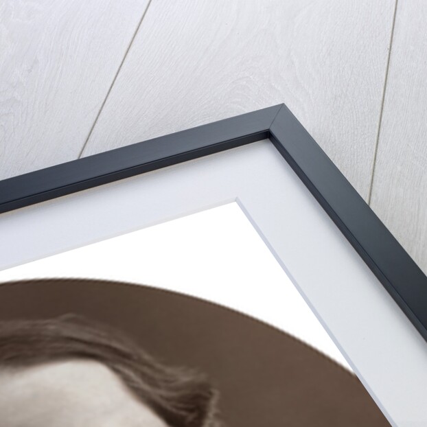 Right Hon Lyon Playfair, CB, LLD, FRS, Scottish chemist and politician by Lock & Whitfield