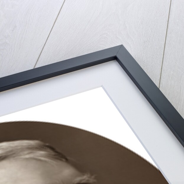 Sir George Biddell Airy, KCB, FRS, Astronomer Royal by Lock & Whitfield