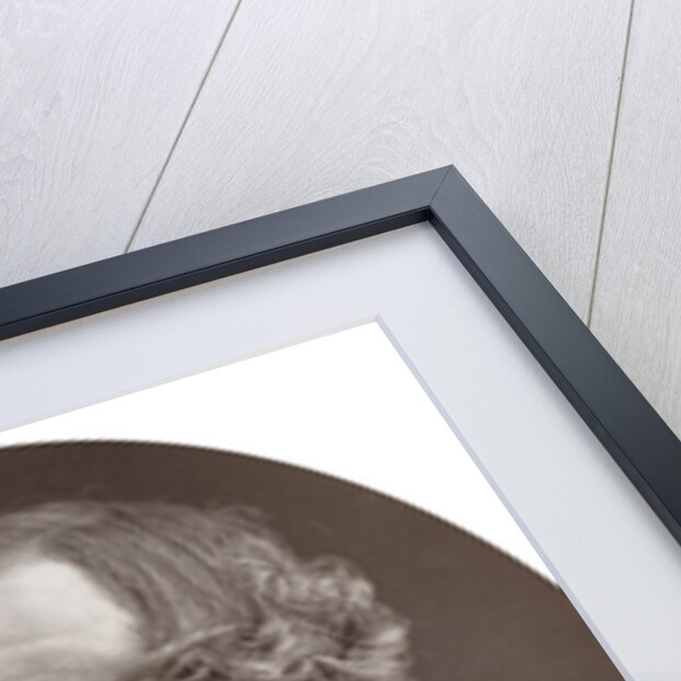 Hon Sir William Robert Grove, DCL, FRS, Judge of the Hight Court of Justice by Lock & Whitfield