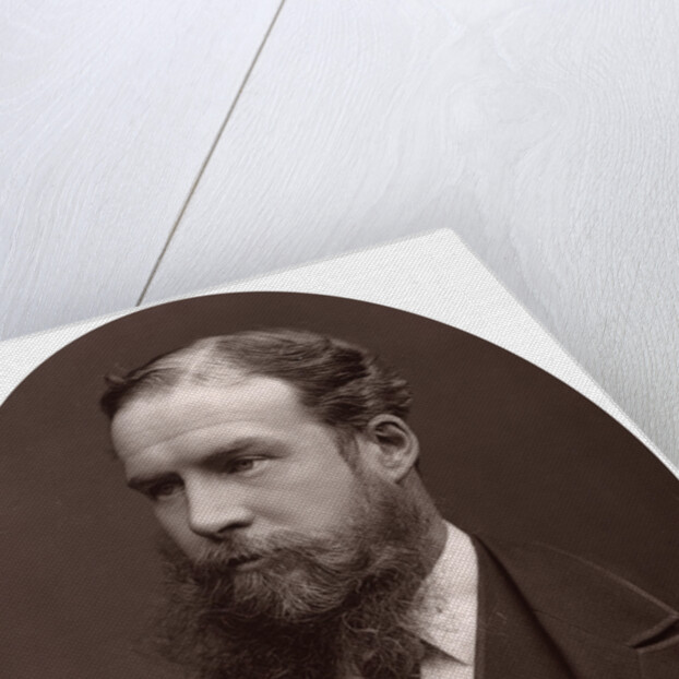 Sir John Lubbock, Bart, MP, FRS, Vice-Chancellor of the University of London by Lock & Whitfield