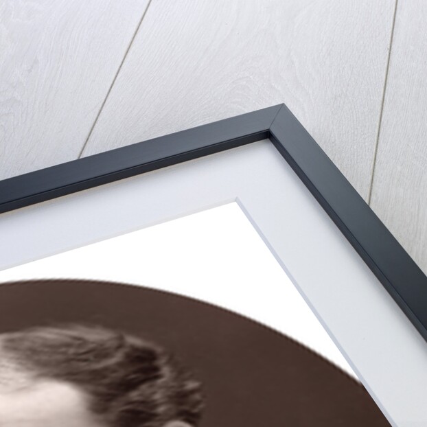 Sir John Lubbock, Bart, MP, FRS, Vice-Chancellor of the University of London by Lock & Whitfield