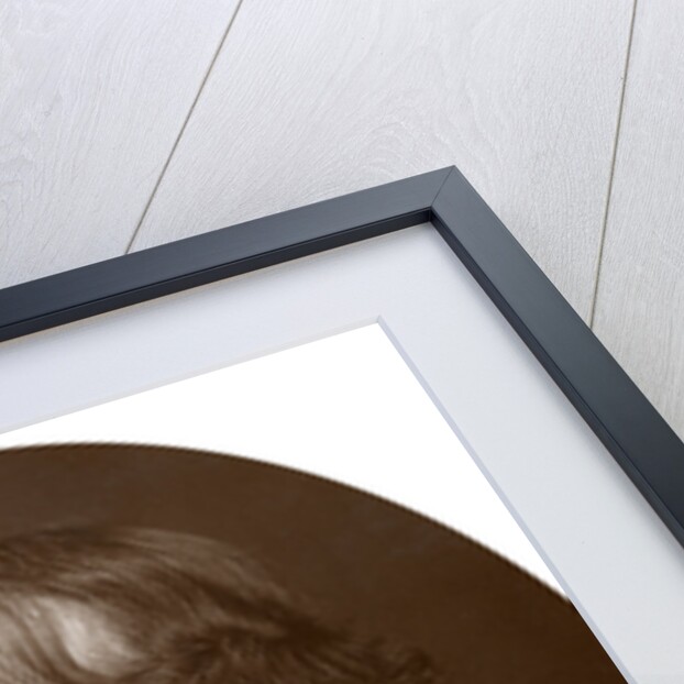 Henry Irving, English actor by Lock & Whitfield