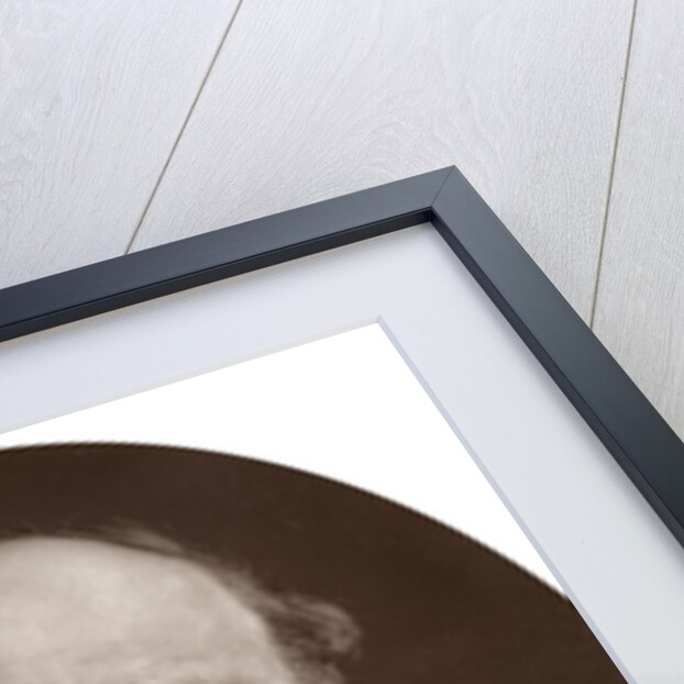 Charles William Siemens, DCL, FRS, German electrical engineer and inventor by Lock & Whitfield