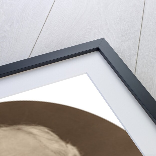 Sir John Mellor, judge of the High Court of Justice by Lock & Whitfield