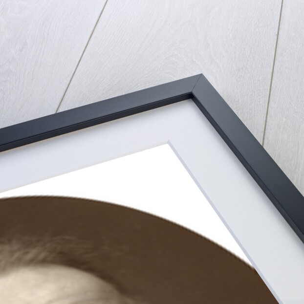 James Clarke Hook, Royal Academician by Lock & Whitfield