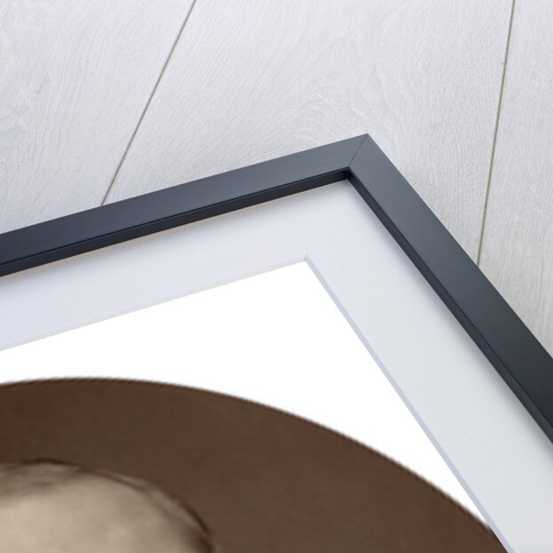 Sir Robert Porrett Collier, judge of the Judicial Committee of the Privy Council by Lock & Whitfield