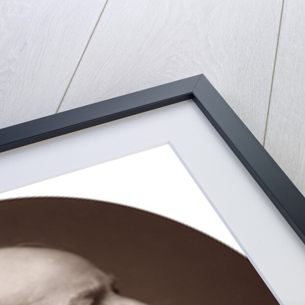 Sir Henry Creswicke Rawlinson, British soldier and orientalist by Lock & Whitfield