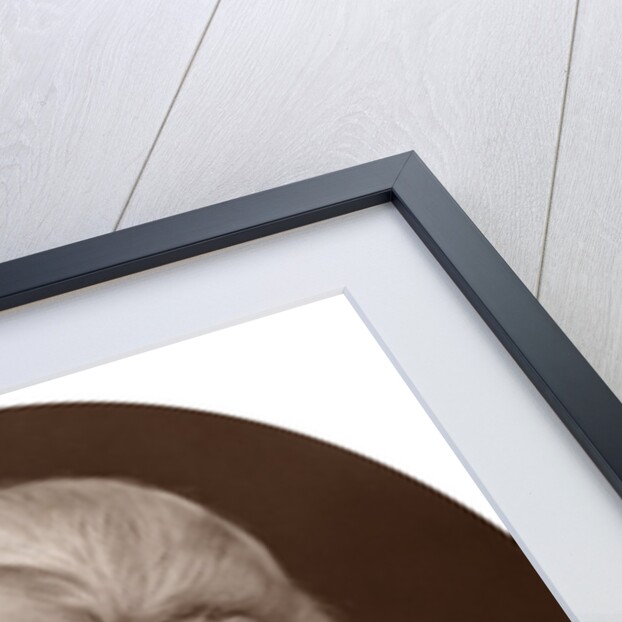 Sir Richard Airey by Lock & Whitfield