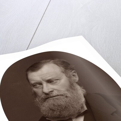 William Edward Forster MP by Lock & Whitfield