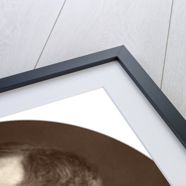 Goldwin Smith, Professor by Lock & Whitfield