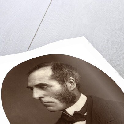 Goldwin Smith, Professor by Lock & Whitfield